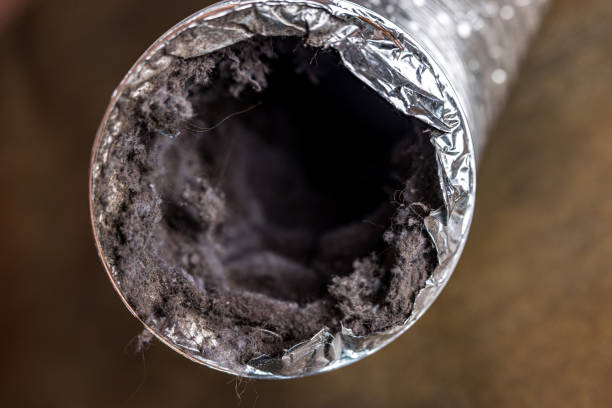 Air Duct Mold Removal in Fairfax, IA